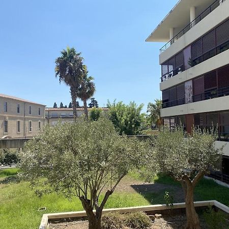 Appartement Climatise Avec Terrasse Et Parking Centre Ville Montpellier Exteriör bild