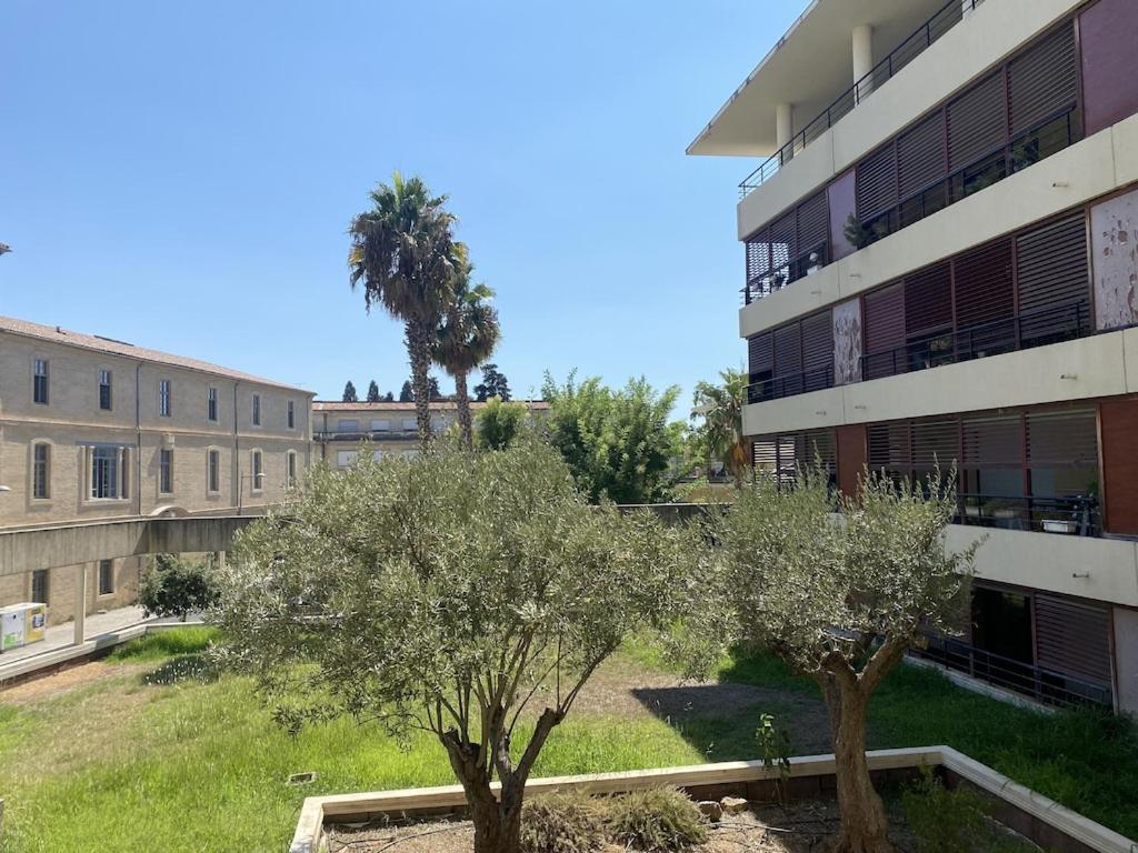 Appartement Climatise Avec Terrasse Et Parking Centre Ville Montpellier Exteriör bild